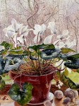 "Cracked Pot"-watercolourSMALL "Crack Pot" wc 2008 NFS