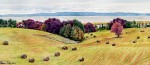 Joe Jack Will's Hay Field-watercolour 2009- "Joe Jack Will's Hay Field" wc 2009 NFS