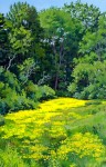"Buttercup Stream"  1999 oil NFS