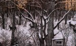 "Deer" - etching "Deer" etching 2009