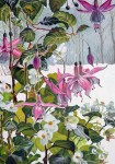 "Fuschia and Begonias"-oil